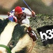 Atomic Badger Racing