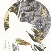 Hammer Down - Magnolia Electric Co.