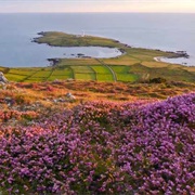 Bardsey Island