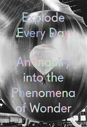 Explode Every Day: An Inquiry Into the Phenomena of Wonder (Denise Markonish)