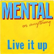 Live It Up - Mental as Anything