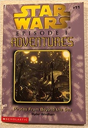 Pirates From Beyond the Sea (Ryder Windham)