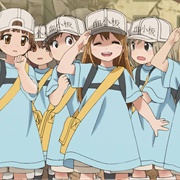 Platelets