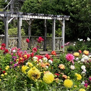 Mendocino Coast Botanical Gardens, Fort Bragg