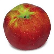 Hubbardston Nonesuch