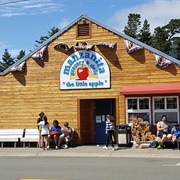 Manzanita, Oregon