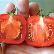 Square Tomatoes