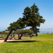 Ellen Browning Scripps Park