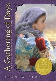 A Gathering of Days (Joan W. Blos)