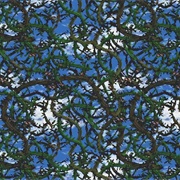 Donkey Kong Country 2: Stickerbush Symphony