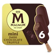 Magnum Dark Chocolate Truffle Mini Ice Cream