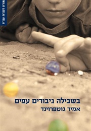 בשבילה גיבורים עפים (אמיר גוטפרוינד)