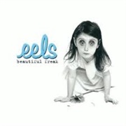 Eels- Novocaine for the Soul