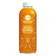 GT's Kombucha Living in Gratitude