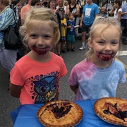 National Blueberry Festival South Haven