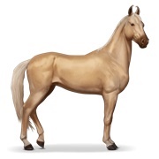Palomino