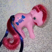 Dutch Candy Pony