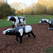 Concrete Cows