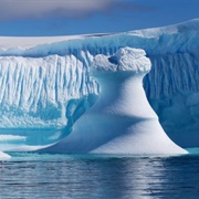 Iceberg