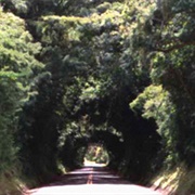 Nuuanu Pali Highway