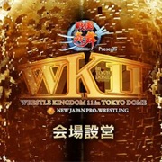 2017: NJPW Wrestle Kingdom 11