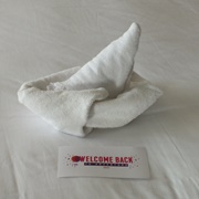 Welcome Back to Cruising