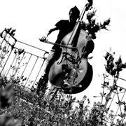 Aranis - Joris Vanvinckenroye - Basta