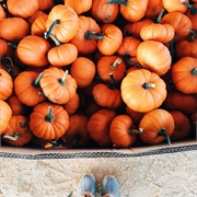 Tiny Pumpkins