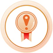 Wayfarer (Bronze)