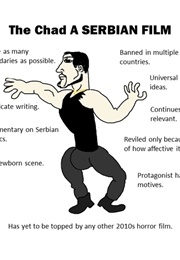 A Stupid Film (2012)