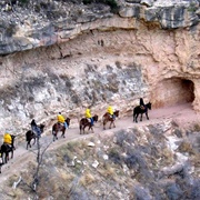 Mule Ride Grand Canyon