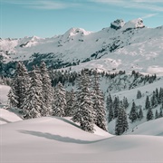 Snow Sports in Switzerland