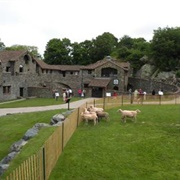 The Swiss Village in Newport