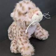 Strawberry Cloud Leopard