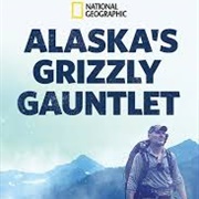 Alaska's Grizzly Gauntlet