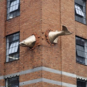 Transcendence in Portland, OR