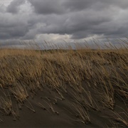 Loomis Lake State Park