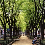 Jozenji-Dori, Sendai