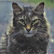 Church (Pet Sematary Remake)