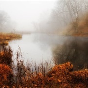 Stones River Greenway