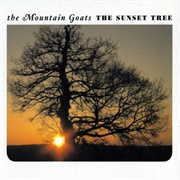 This Year - The Mountain Goats