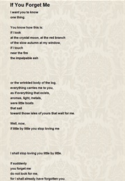 If You Forget Me (Pablo Neruda)