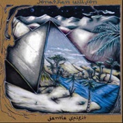 Jonathan Wilson - Desert Raven