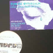 The Ghost in You - Robyn Hitchcock