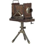 Victorian Plate Photography