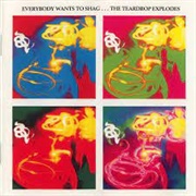The Teardrop Explodes Everybody Wants To