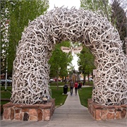 Jackson Antler Arch