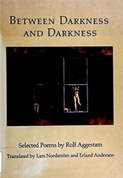 Between Darkness and Darkness: Selected Poems (Rolf Aggestam)