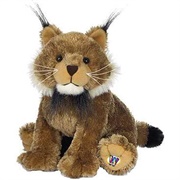 Lynx