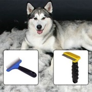 Brush Husky